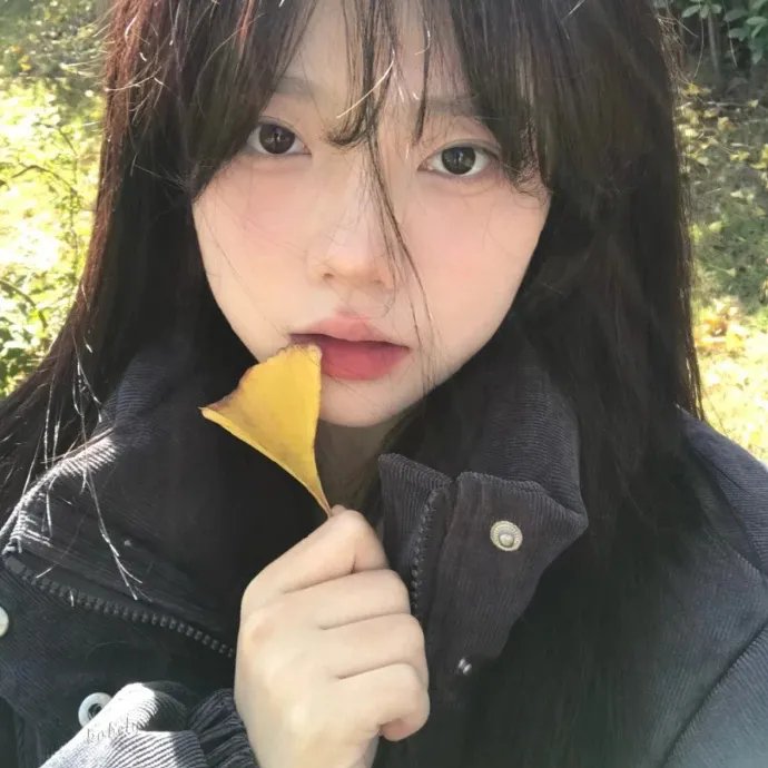 分界线