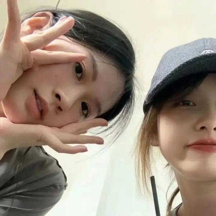 玫瑰的战争