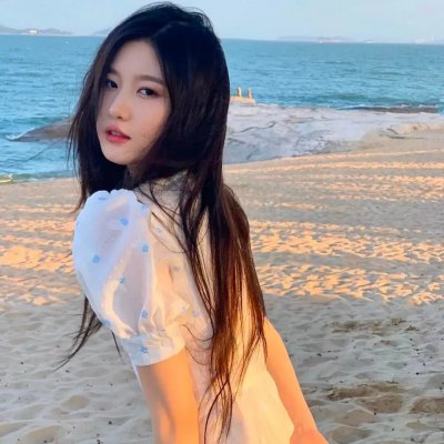 工程师普赖特的方案